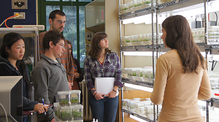 Plant propagation students visiting the American Chestnut tissue culture lab in Marshall Hall.