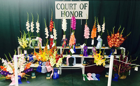 NY State Fair 2017 Gladiolus Court of Honor.