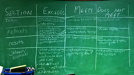 Image of a student generated lab assignment grading rubric.